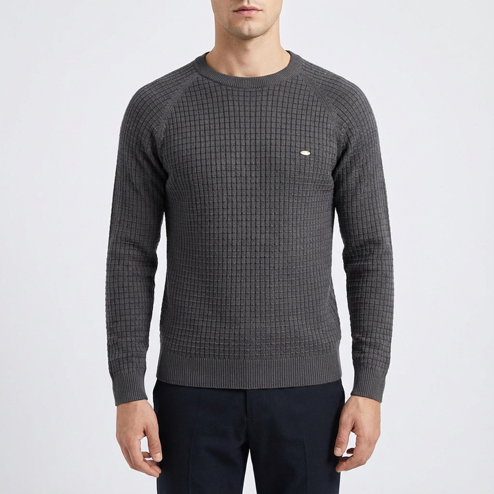 Zane | Men's Textured Crew Neck Pullover Sweater
