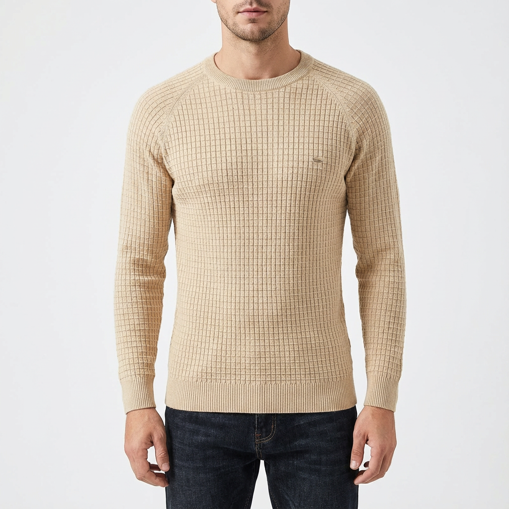 Zane | Men's Textured Crew Neck Pullover Sweater