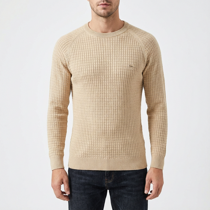 Zane | Men's Textured Crew Neck Pullover Sweater