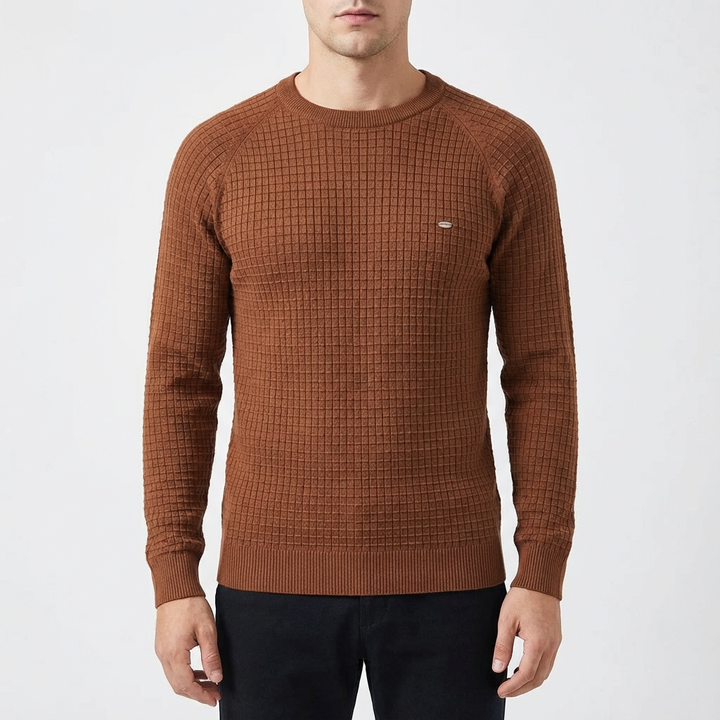 Zane | Men's Textured Crew Neck Pullover Sweater