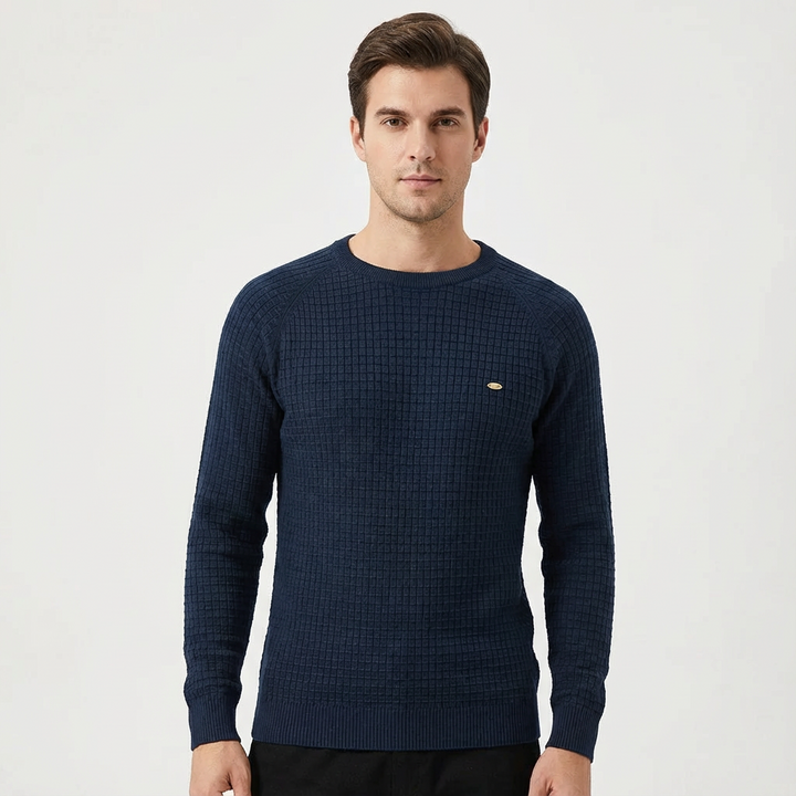 Zane | Men's Textured Crew Neck Pullover Sweater